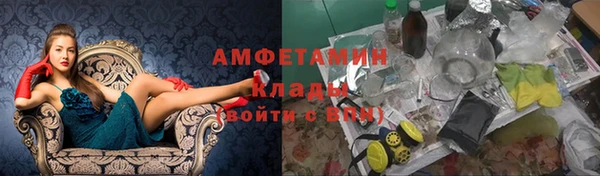 амф Алзамай