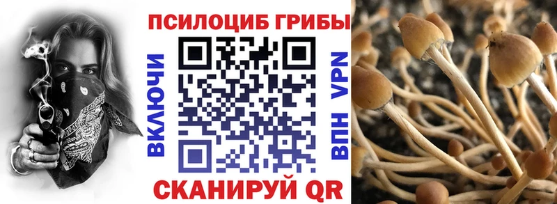 кракен зеркало  Сельцо  Псилоцибиновые грибы Magic Shrooms 